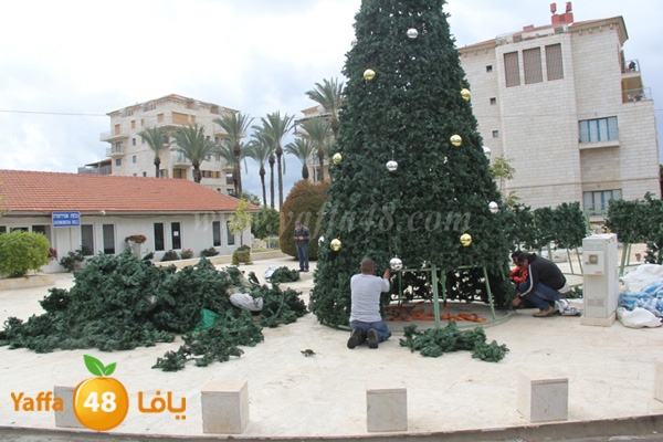 tree 3ed miladj3 (1).JPG